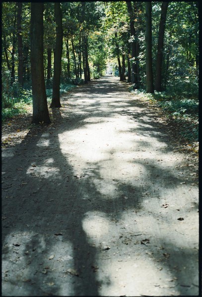 CONVERTED WITH PHOEBUS BY POST-FX