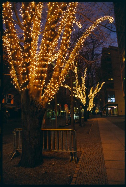 CONVERTED WITH PHOEBUS BY POST-FX