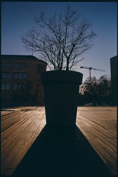 CONVERTED WITH PHOEBUS BY POST-FX