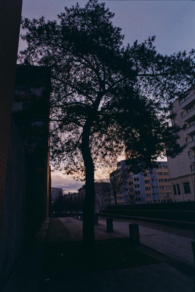 CONVERTED WITH PHOEBUS BY POST-FX