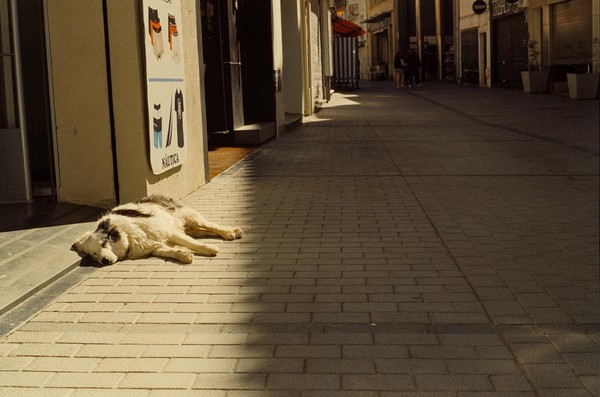 CONVERTED WITH PHOEBUS BY POST-FX