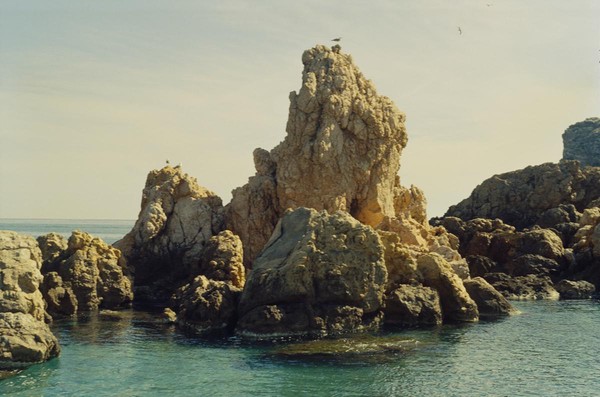 CONVERTED WITH PHOEBUS BY POST-FX