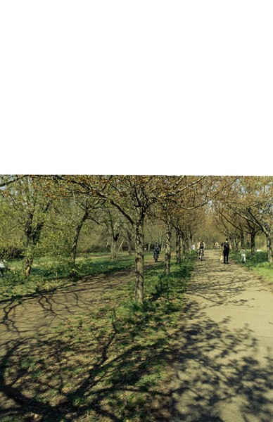 CONVERTED WITH PHOEBUS BY POST-FX