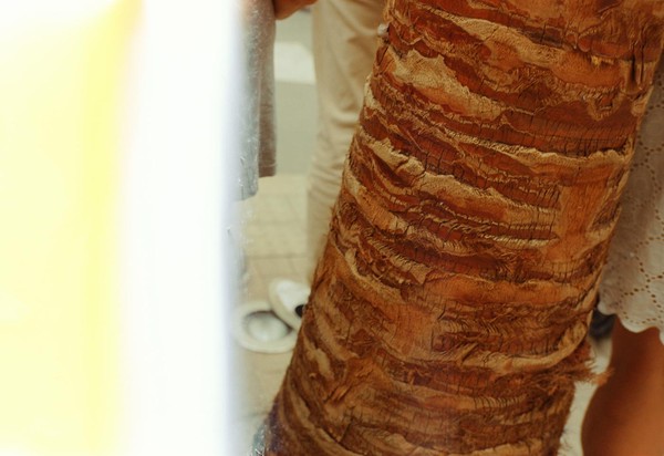 CONVERTED WITH PHOEBUS BY POST-FX