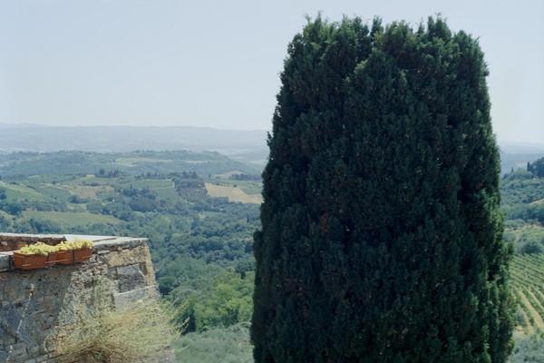 CONVERTED WITH PHOEBUS BY POST-FX