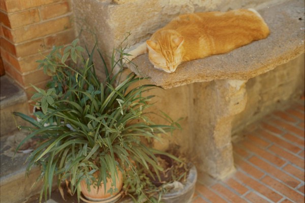 CONVERTED WITH PHOEBUS BY POST-FX