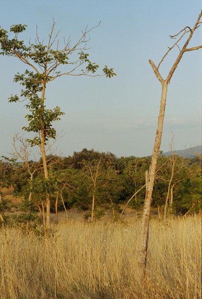 CONVERTED WITH PHOEBUS BY POST-FX