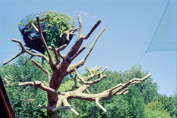 CONVERTED WITH PHOEBUS BY POST-FX