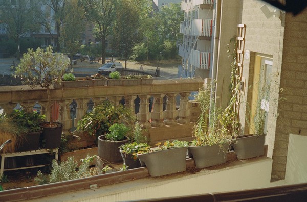 CONVERTED WITH PHOEBUS BY POST-FX