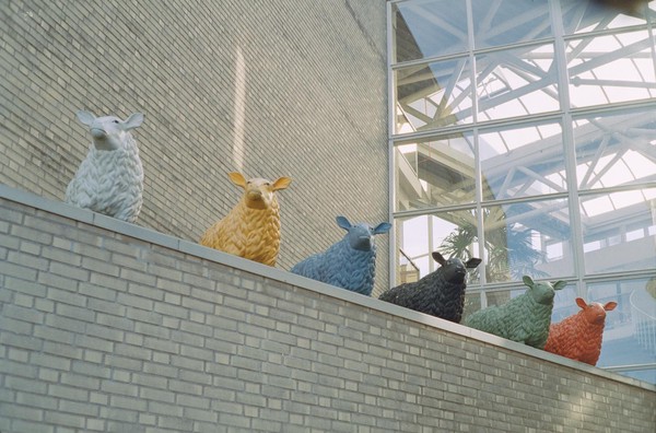 CONVERTED WITH PHOEBUS BY POST-FX