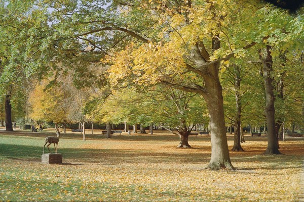 CONVERTED WITH PHOEBUS BY POST-FX