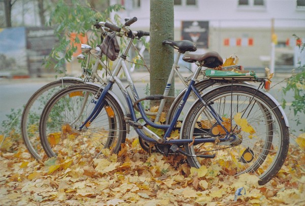 CONVERTED WITH PHOEBUS BY POST-FX