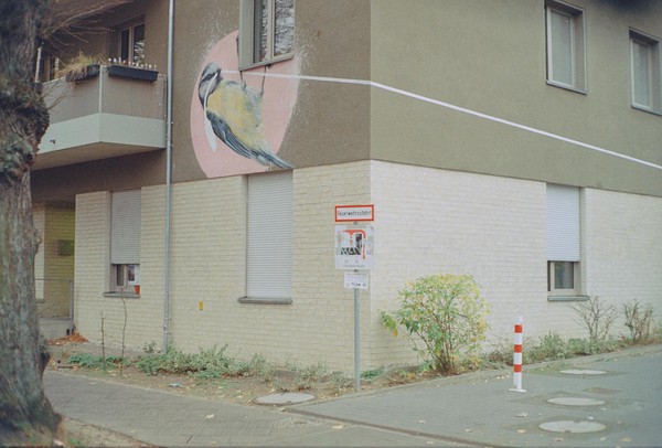 CONVERTED WITH PHOEBUS BY POST-FX