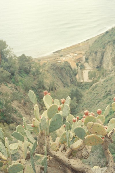 CONVERTED WITH PHOEBUS BY POST-FX