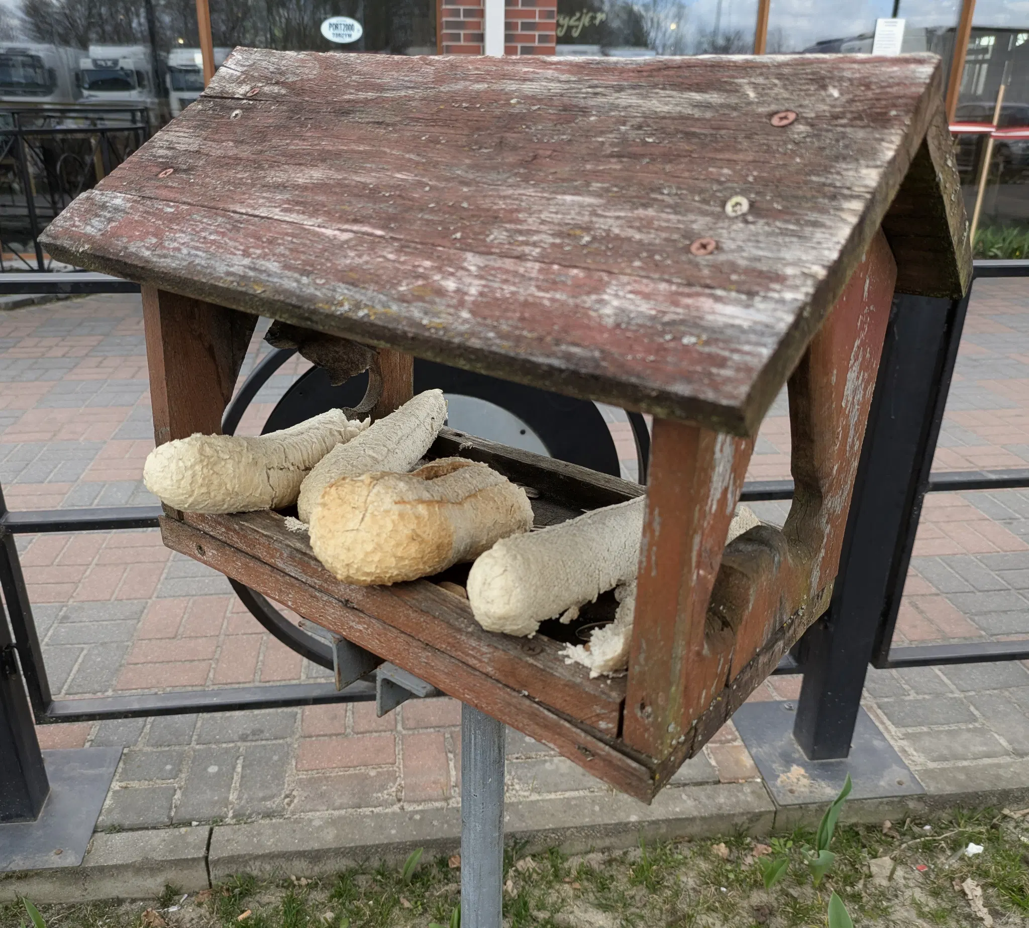 ein vogelhäuschen, in dem komplette brötchen liegen. im Hintergrund ein menschenhaus.