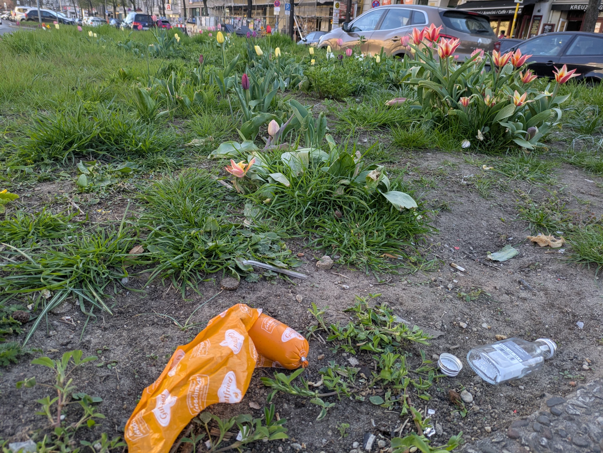 eine Grünfläche im urbanen raum mit gras  tulpen und einer halben fleischwurst