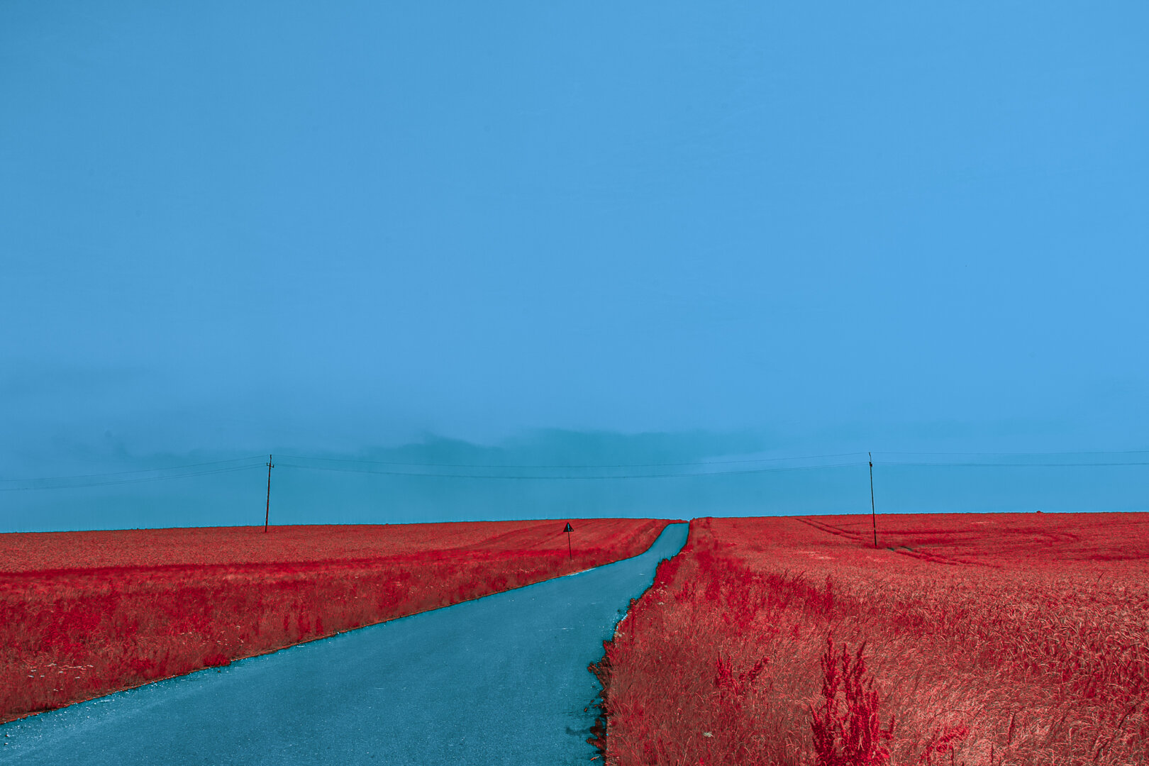 A digital false-color infrared photograph captured with a full-spectrum camera, mimicking the aesthetic of analog Aerochrome film. The natural landscape is transformed by a surreal color palette, where organic foliage reflects infrared light as vibrant shades of magenta and pink. This vivid organic matter sharply contrasts with the deep, dense shadows and the muted tones of the sky, creating a rigorous structural composition.