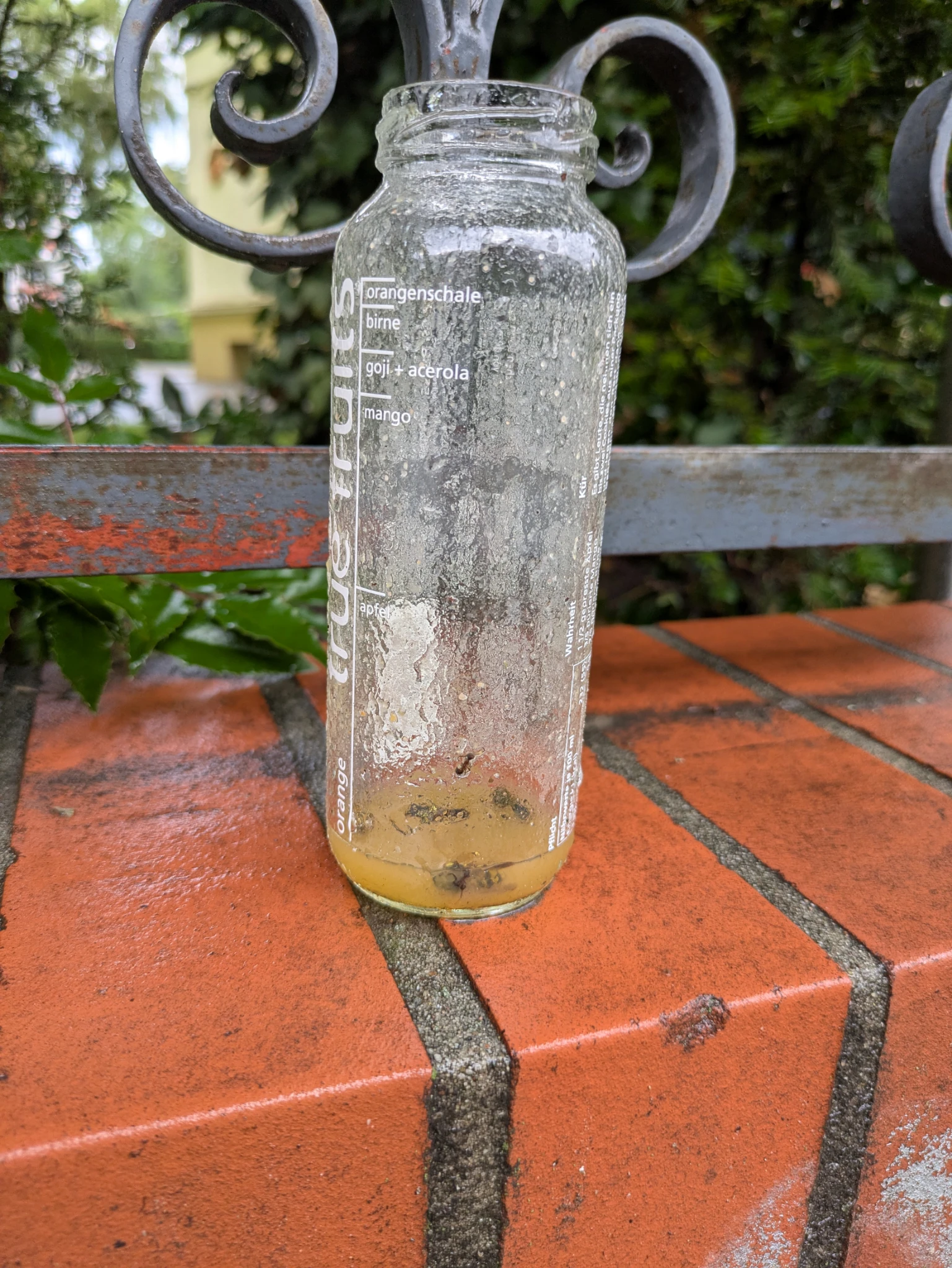 eine kleine glasflasche steht auf einer nassen mauer, darin ein wenig flüssigkeit und wespen