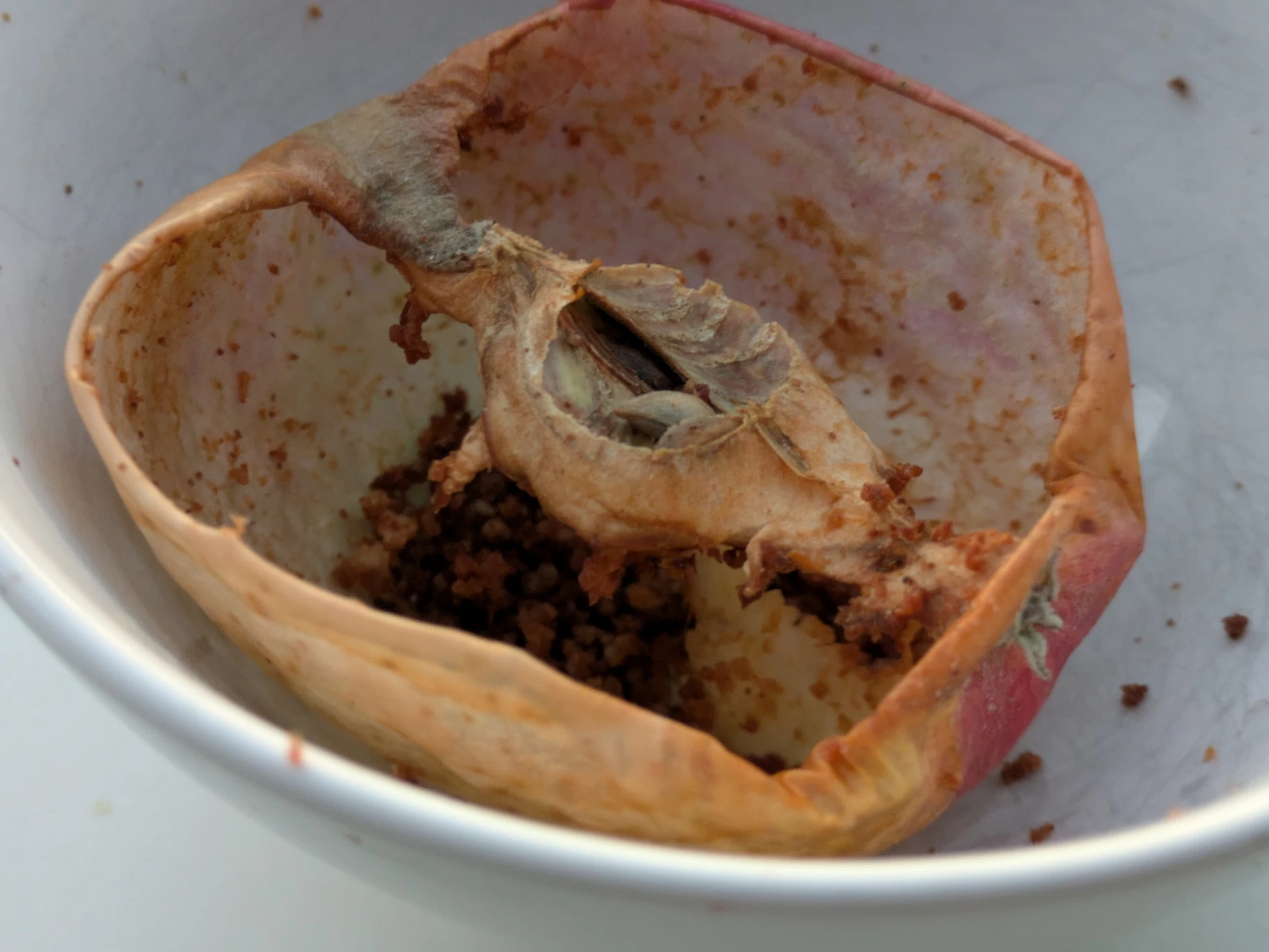 der gleiche apfel, es ist nur noch kerngehäuse und schale übrig