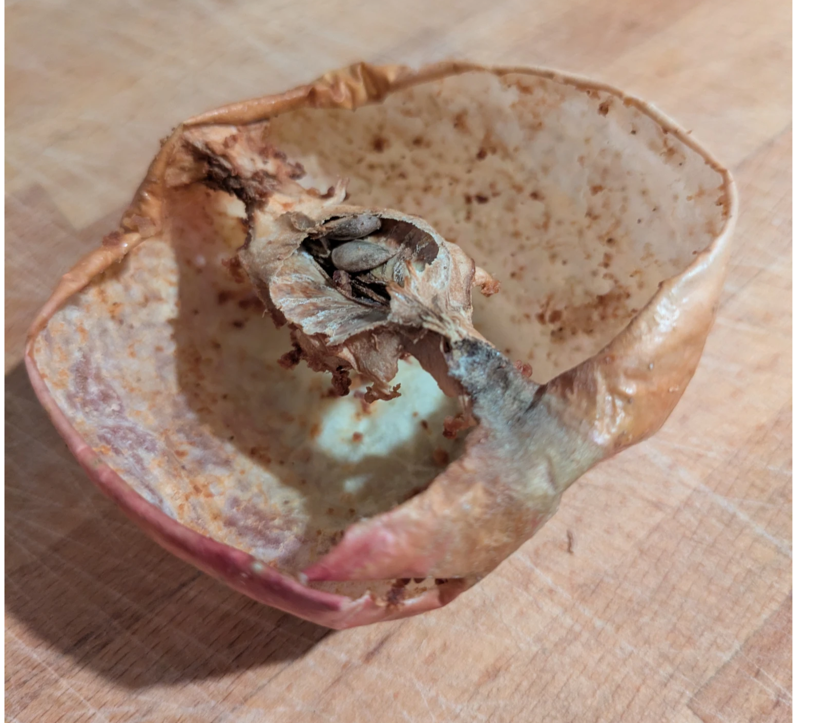 ist es noch ein apfel wenn nur noch schale und kerngehäuse existieren?