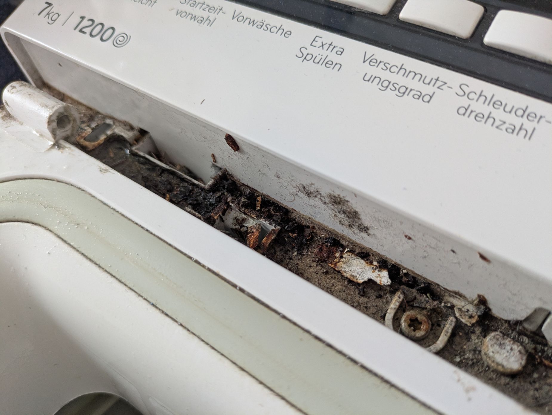 Detailaufnahme Schmodder Detailaufnahme Schmodder
