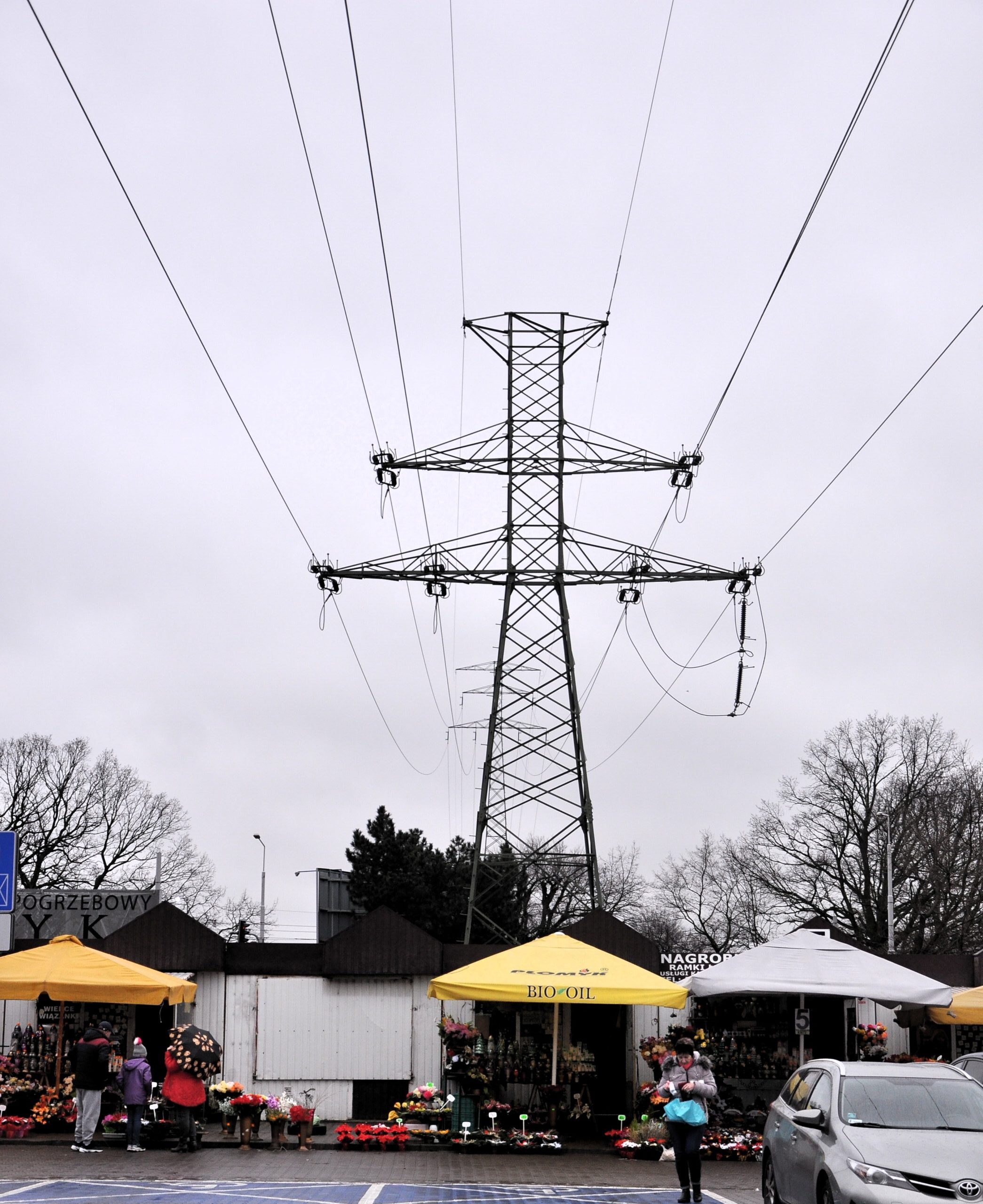 Blumen unter Strom