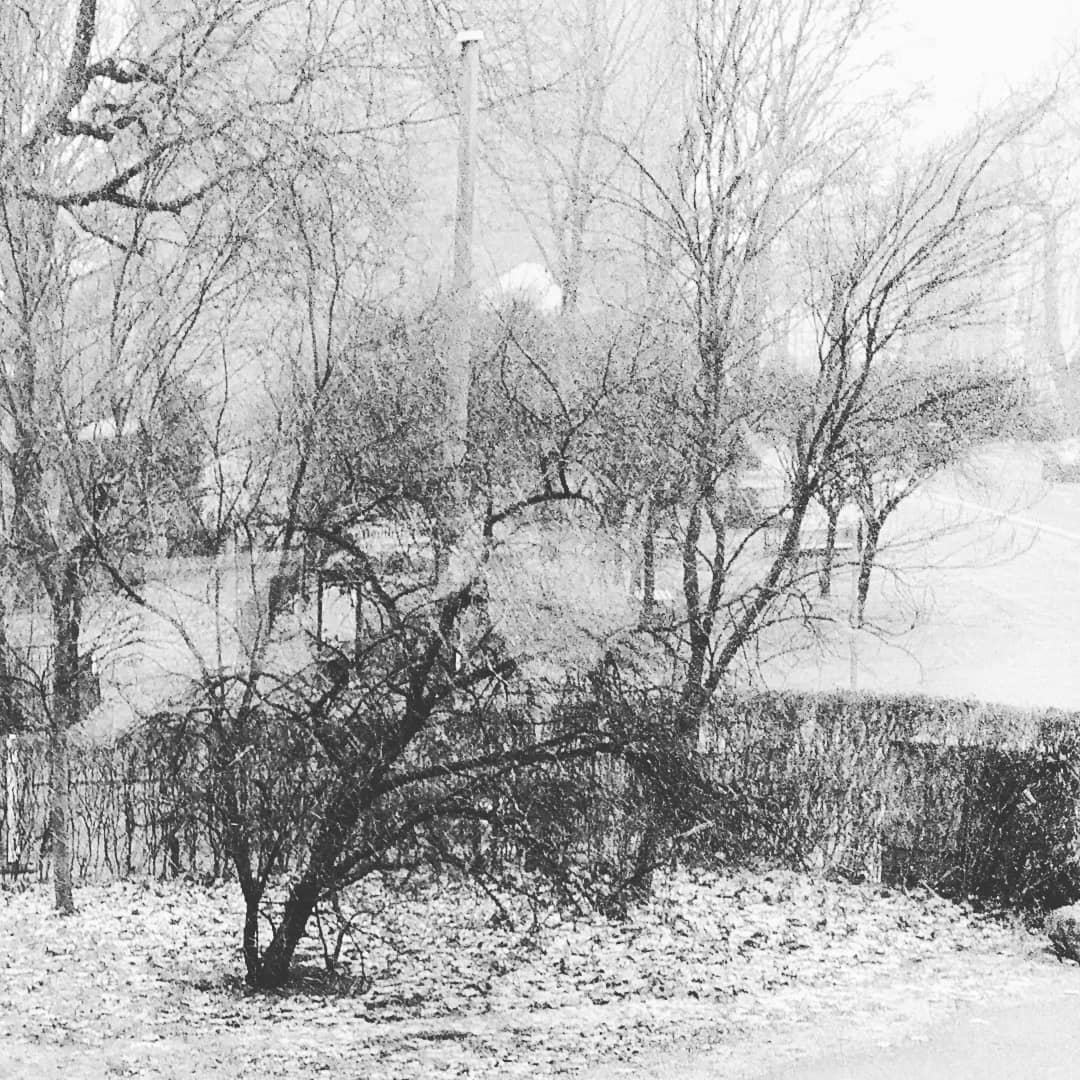 Schnee in Berlin