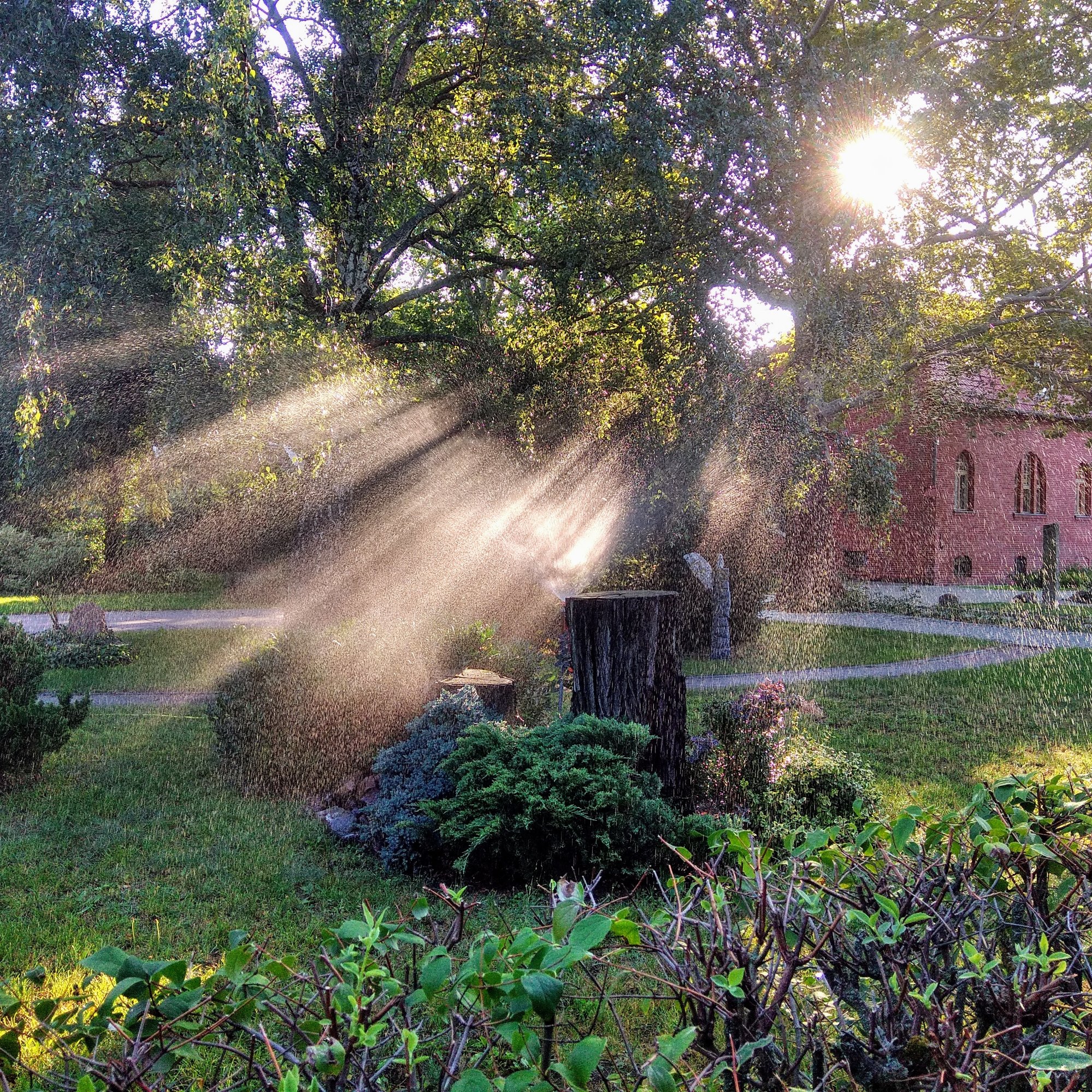 Friedhof Pankow III